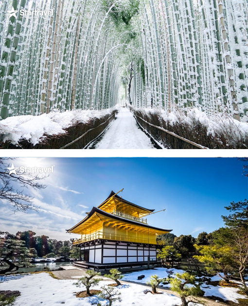 Ngày 02: OSAKA - KYOTO - MIE (Ăn sáng, trưa, tối)